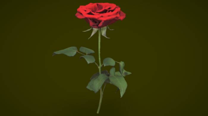 红玫瑰石头植物红玫瑰,植物gltf,glb模型下载，3d模型下载