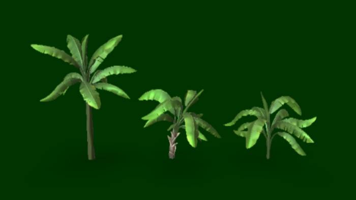 香蕉棕榈树石头植物香蕉棕榈树,植物,树木gltf,glb模型下载，3d模型下载