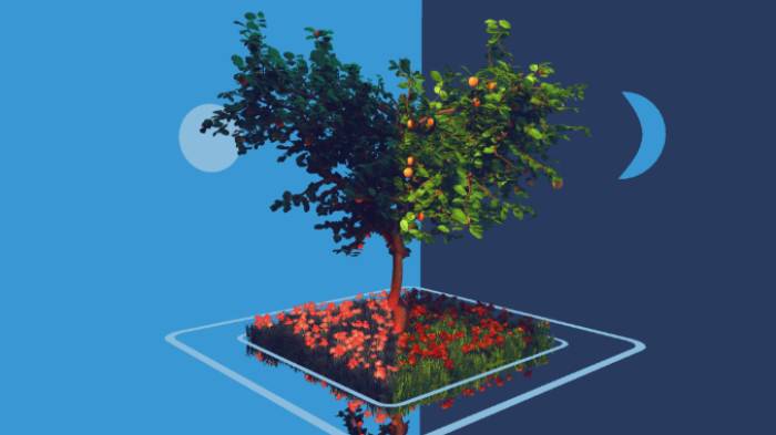 桔子树石头植物桔子树,树木,水果gltf,glb模型下载，3d模型下载