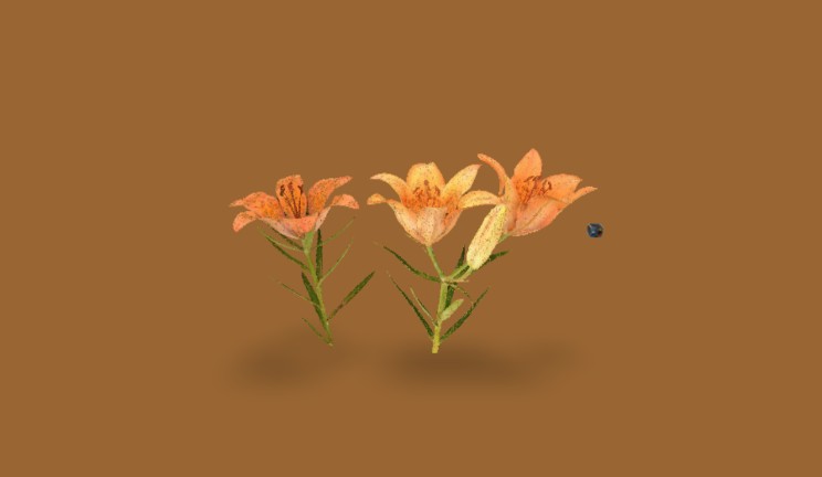 百合石头植物花,植物gltf,glb模型下载，3d模型下载