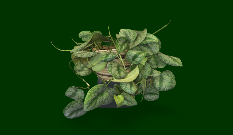 绿萝石头植物植物,花草gltf,glb模型下载，3d模型下载