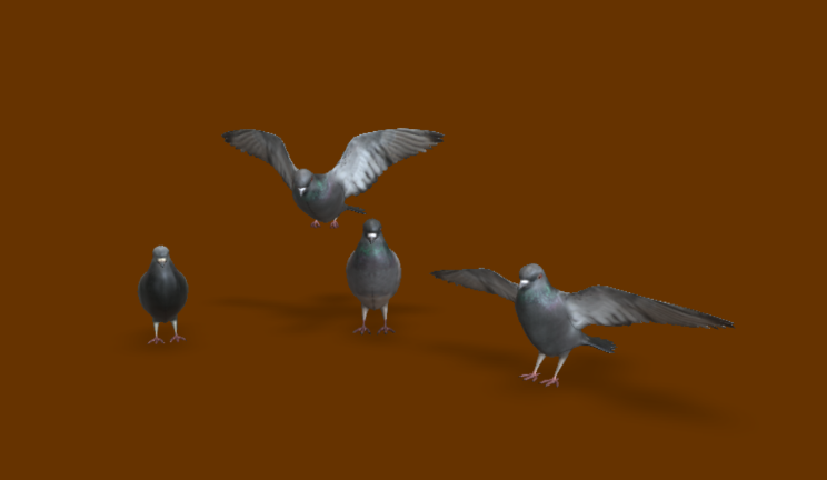 鸽子动物动物,鸟类,飞禽gltf,glb模型下载，3d模型下载