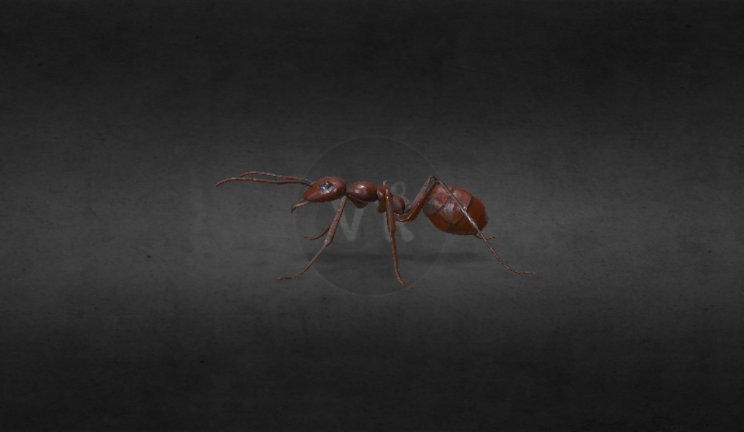 蚂蚁gltf,glb模型下载，3d模型下载