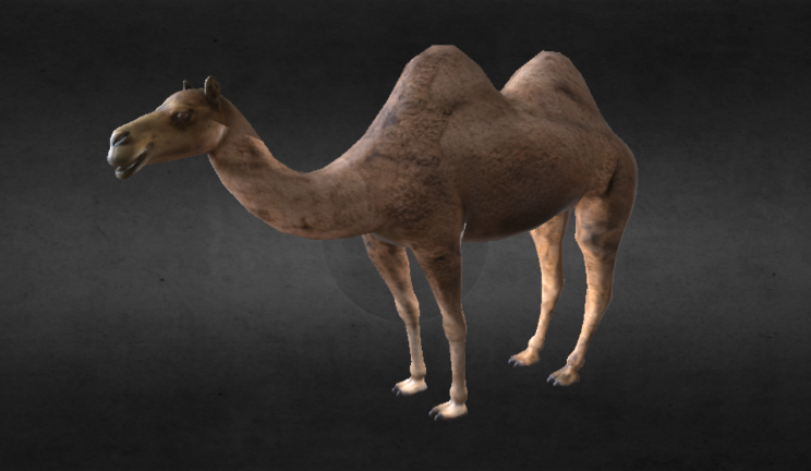 双峰骆驼动物动物,骆驼,哺乳动物,动画gltf,glb模型下载，3d模型下载