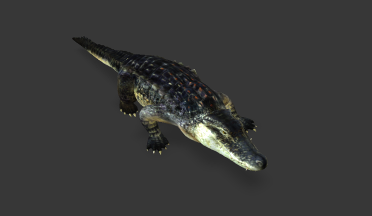 鳄鱼动物鱼类,动物,动画gltf,glb模型下载，3d模型下载